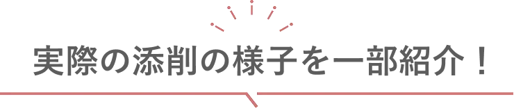 実際の添削の様子を一部紹介！