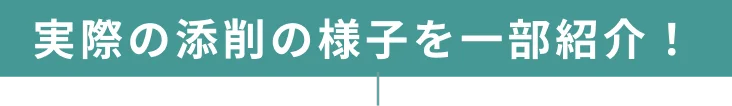 実際の添削の様子を一部紹介!
